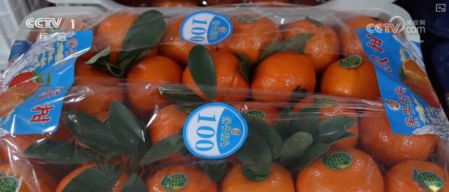 水果“新面孔”畅行县域市场 冬日餐桌焕新传统菜市场活力升级