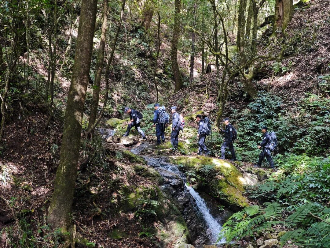 记者亲历：穿越高黎贡