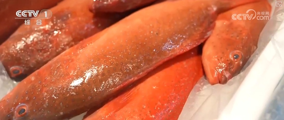 水果“新面孔”畅行县域市场 冬日餐桌焕新传统菜市场活力升级