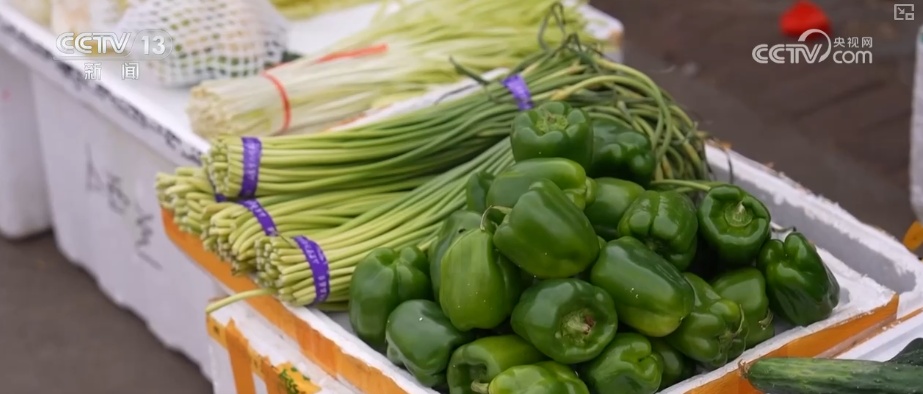 海南自贸港封关将迎首个春节 “智慧监测+快速运输”保障百姓“菜篮子”供应