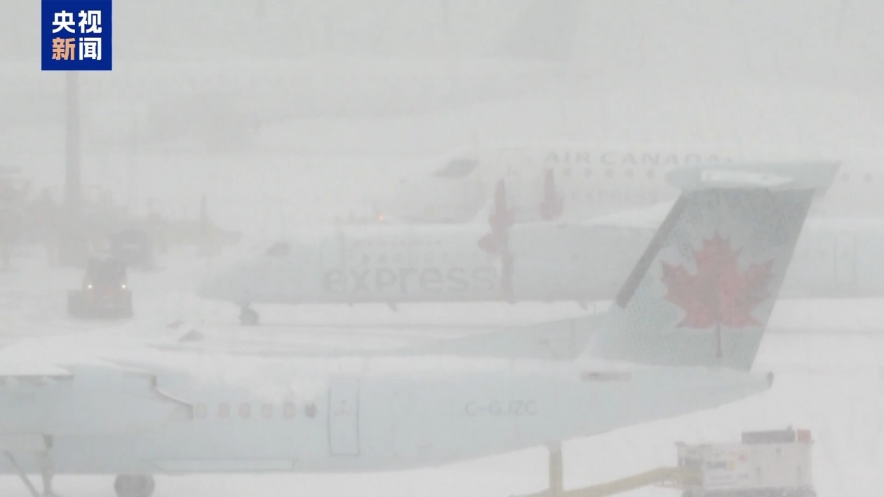 加拿大多地遭遇暴风雪 航班大规模取消