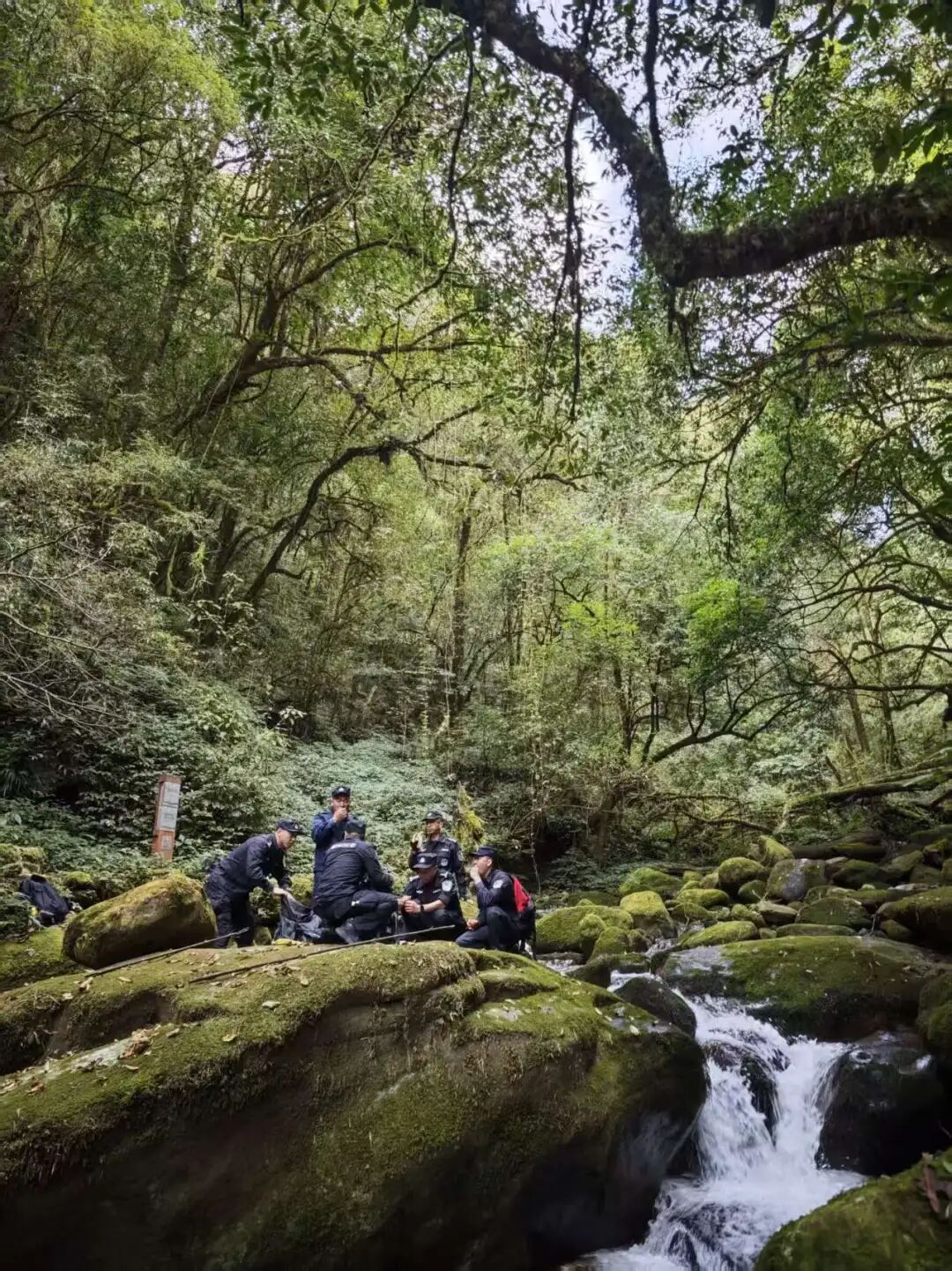 记者亲历：穿越高黎贡