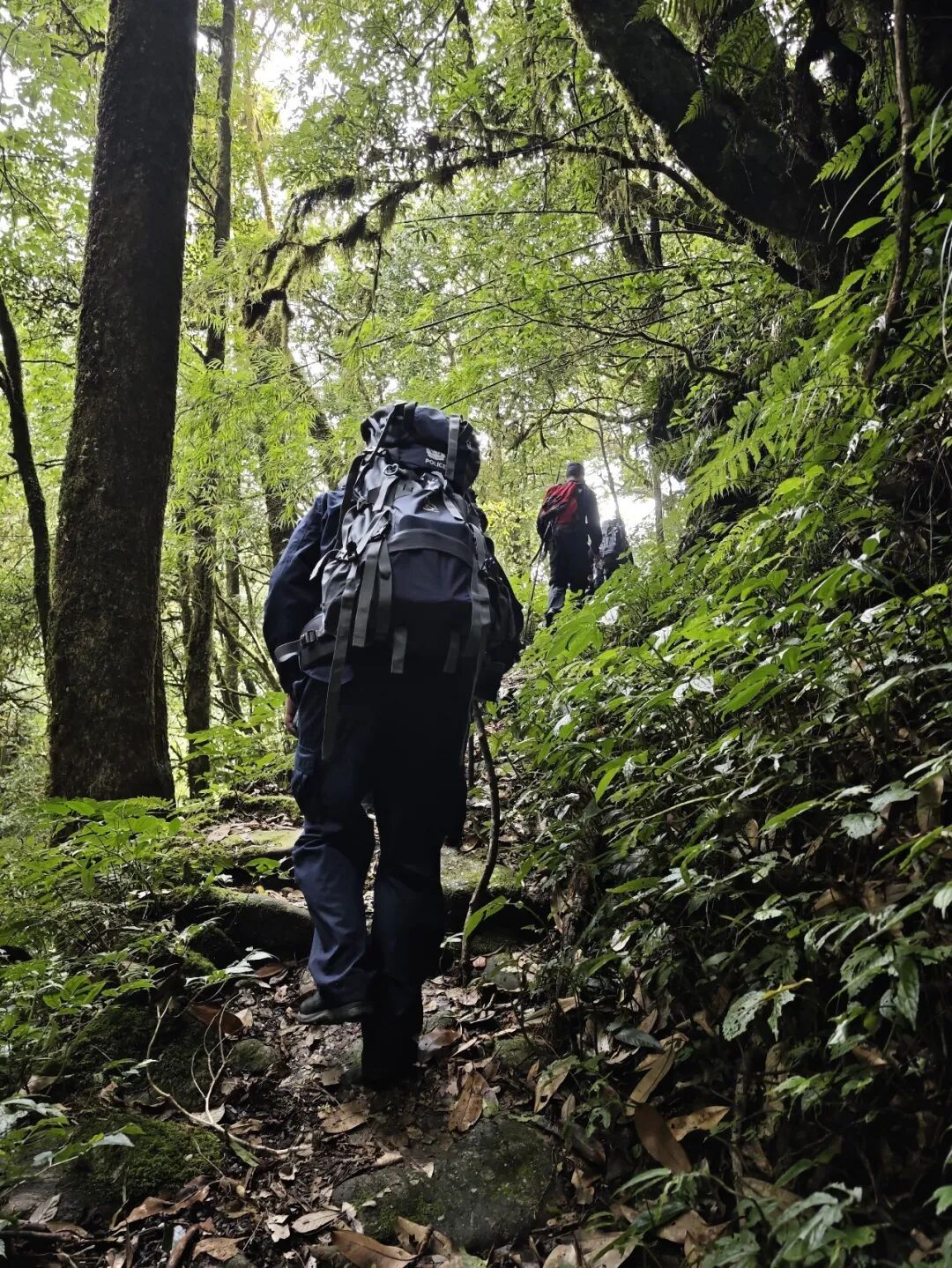 记者亲历：穿越高黎贡