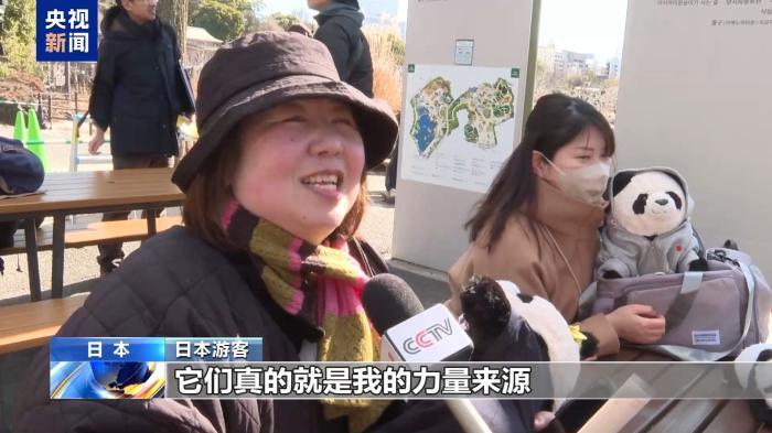 大熊猫“晓晓”和“蕾蕾”即将回国 日本民众依依惜别