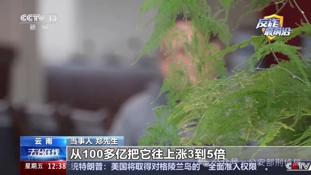 奶茶袋里藏30多万元黄金 揭穿“免费听课+红包诱惑”背后的陷阱