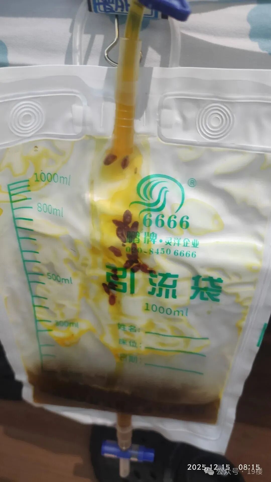 头皮发麻!男子被吸出一袋还在蠕动的虫子……很多长沙人也爱吃 头皮发麻!男子被吸出一袋还在蠕动的虫子……很多长沙人也爱吃