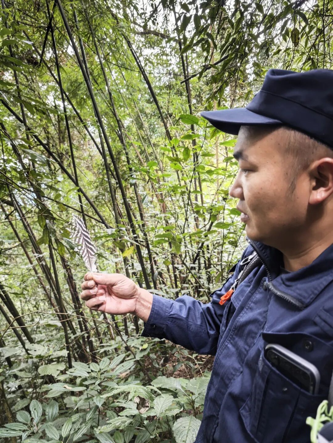 记者亲历：穿越高黎贡