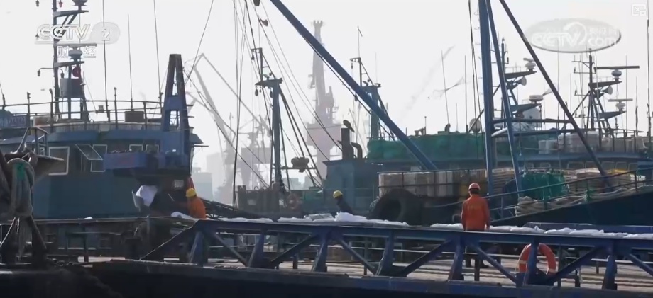 “鲜”货直达“拍”向餐桌 节前水产市场供需两旺“高端年货”交易量增长
