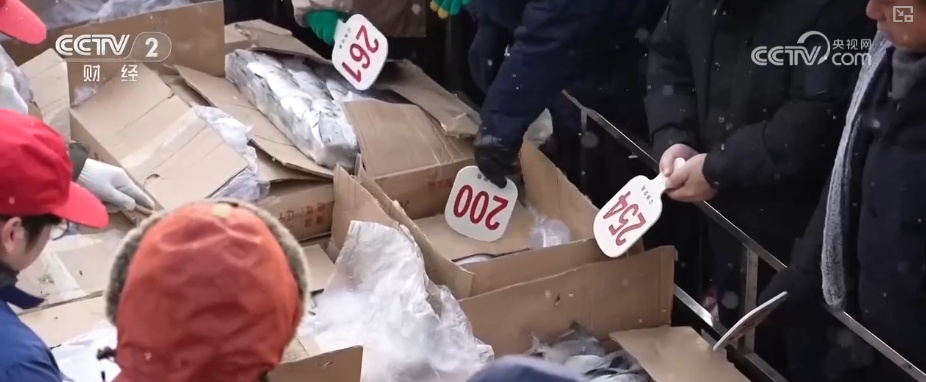 “鲜”货直达“拍”向餐桌 节前水产市场供需两旺“高端年货”交易量增长