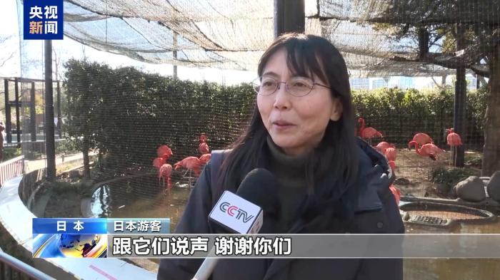 大熊猫“晓晓”和“蕾蕾”即将回国 日本民众依依惜别