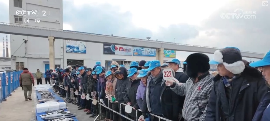 “鲜”货直达“拍”向餐桌 节前水产市场供需两旺“高端年货”交易量增长