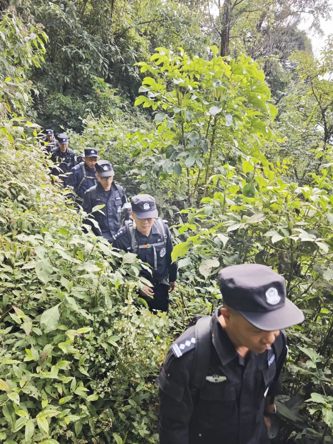 记者亲历：穿越高黎贡