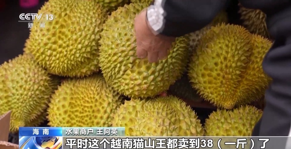 封关后首个春节 记者探访海南“菜篮子”与“果盘子”