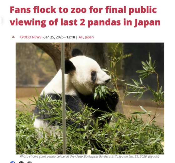 现场画面！日本民众泪别旅日大熊猫……