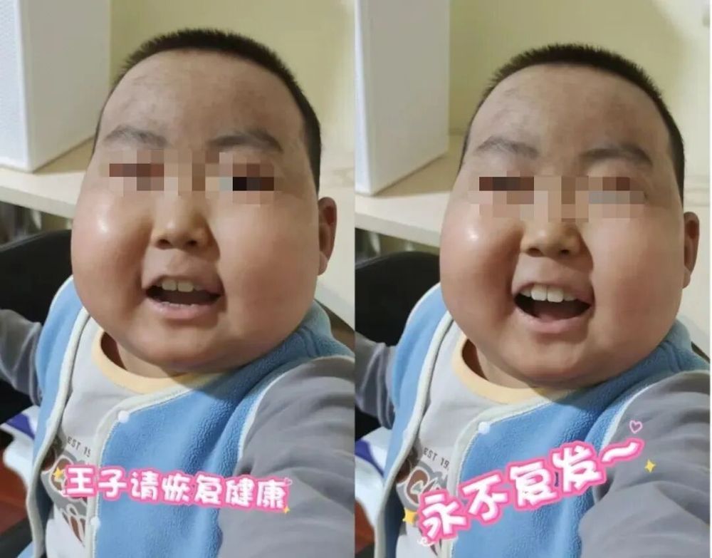 抗癌“小王子”豪豪离世，年仅10岁