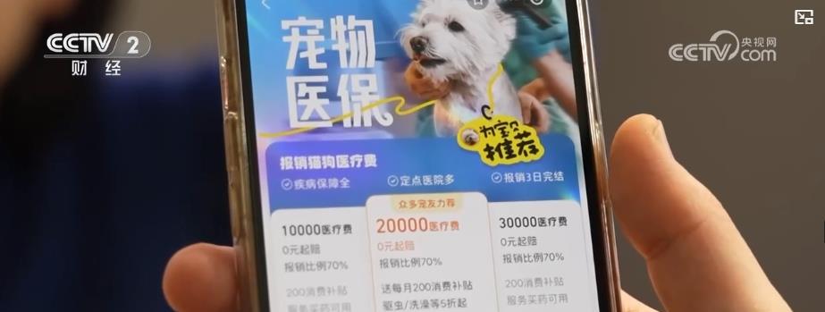宠物经济新趋势：宠物消费市场规模超三千亿元 保障需求催生行业新增长点