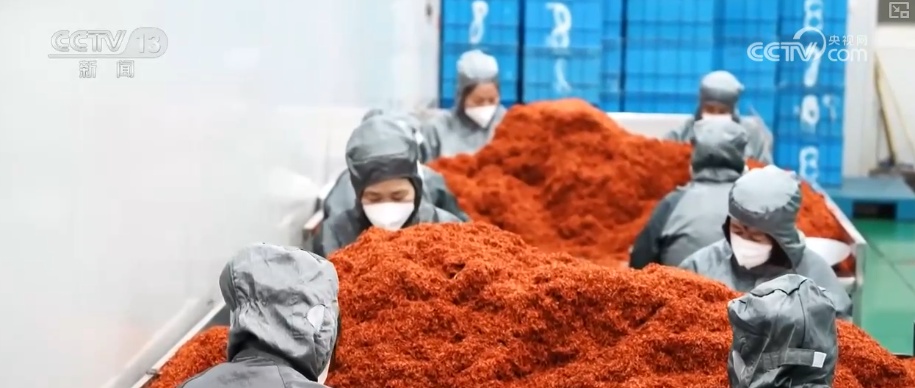 政策“组合拳”发力塑造吸引外资新优势 便利更多国家优质产品与服务进入中国 政策“组合拳”发力塑造吸引外资新优势 便利更多国家优质产品与服务进入中国