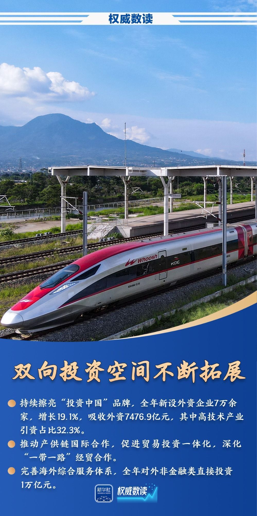 权威数读｜这些数据，让“购在中国”熠熠生辉！