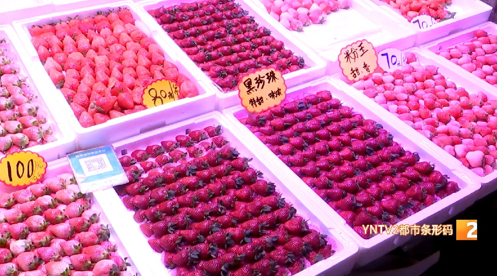草莓界的“爱马仕”火了，产地就在云南！外省300多元一市斤，昆明价格如何？