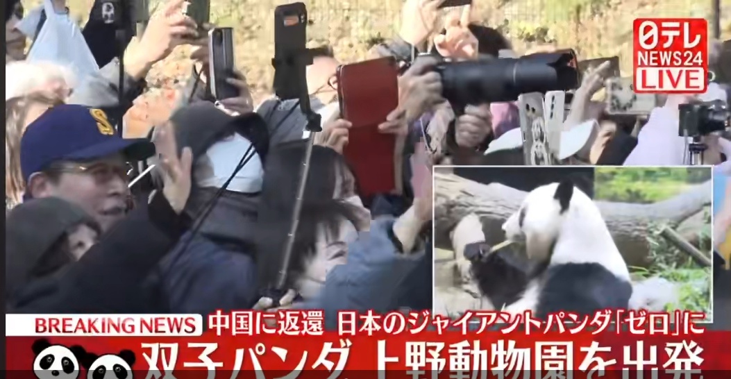 现场画面！日本民众泪别旅日大熊猫……