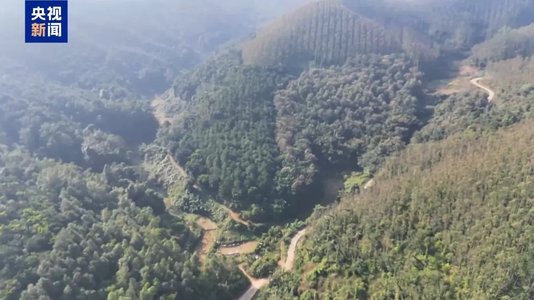 央视披露“高薪搬运”骗局：一趟“搬货”声称最高可赚12万元