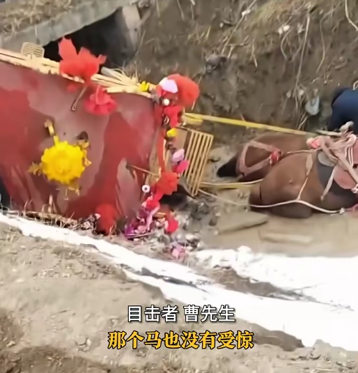 新人结婚坐马车发生意外，人和马都翻沟里！网友称马上坠入爱河