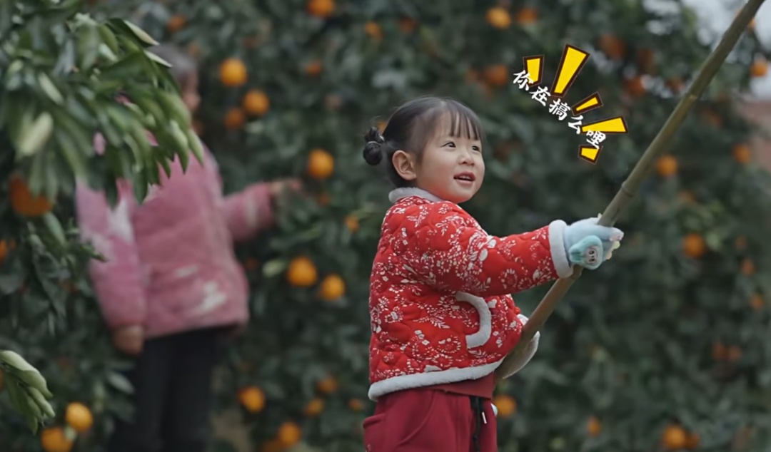 一句“搞么哩”火遍全网！4岁重庆奉节娃，让千万人看见家的幸福模样