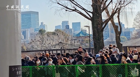 现场画面！日本民众泪别旅日大熊猫……