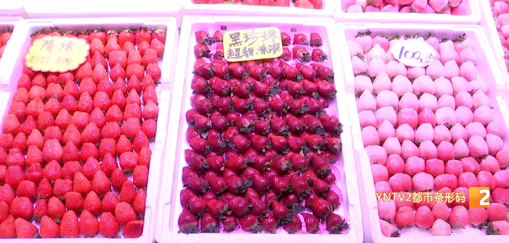 草莓界的“爱马仕”火了，产地就在云南！外省300多元一市斤，昆明价格如何？