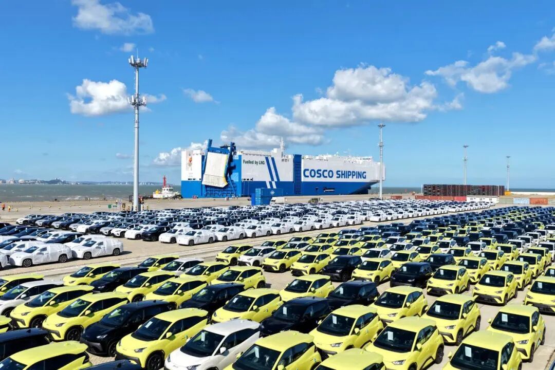 韧性增长，稳中向好！港口发展含金量越来越足