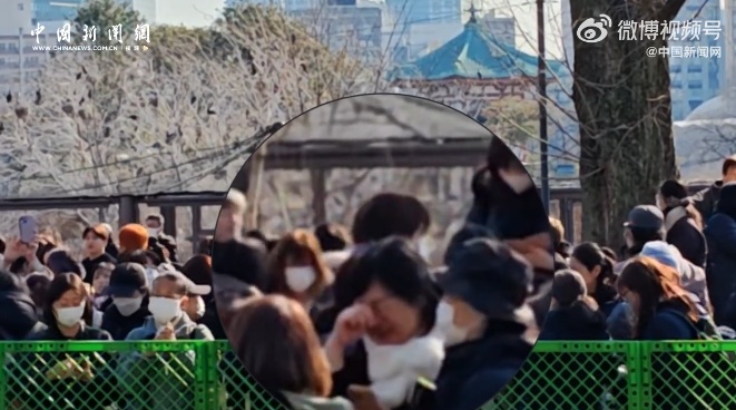 现场画面！日本民众泪别旅日大熊猫……