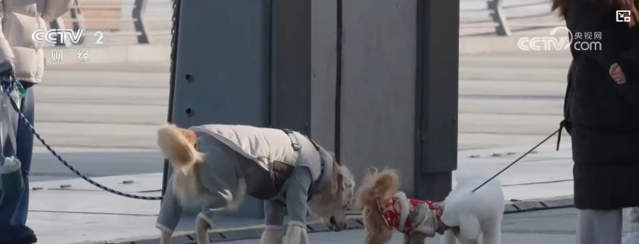 宠物经济新趋势：宠物消费市场规模超三千亿元 保障需求催生行业新增长点