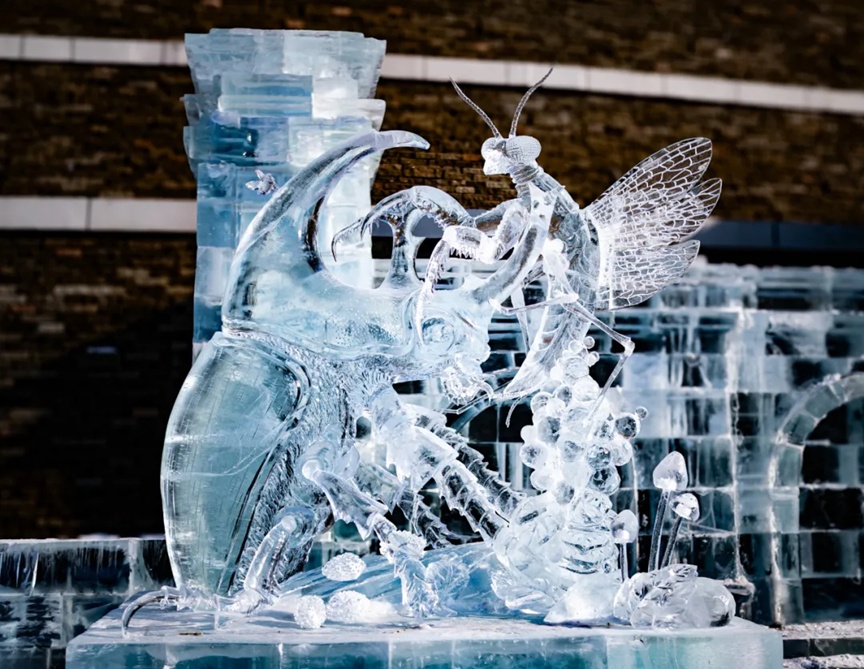 谁把冬天雕成了诗?哈尔滨冰雪大世界内再现“寒地美学”新高度! 谁把冬天雕成了诗?哈尔滨冰雪大世界内再现“寒地美学”新高度!