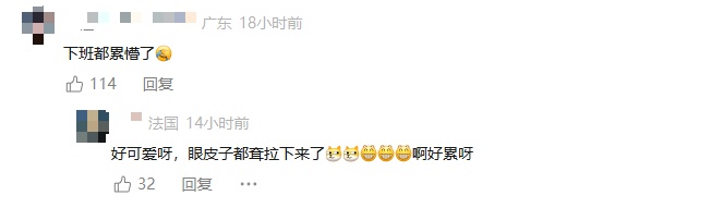 “醒狮”变“睡狮”火了！广州越秀公园回应：将瞪大眼睛上岗，绝不摸鱼