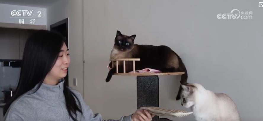 宠物经济新趋势：宠物消费市场规模超三千亿元 保障需求催生行业新增长点