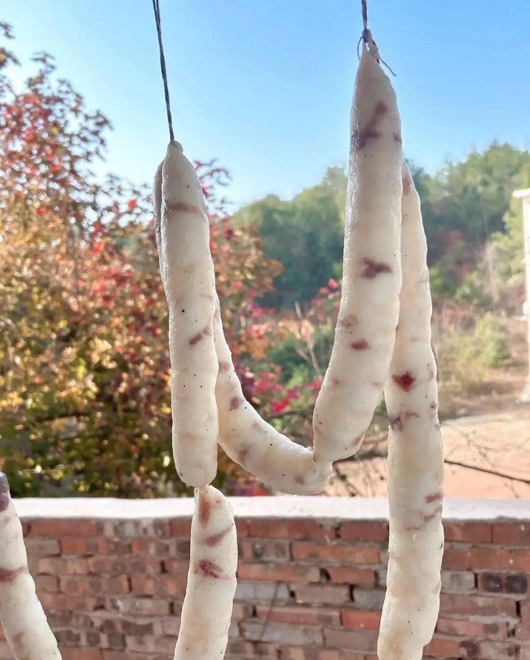 江西网友晒“九肥一瘦”比例香肠,被调侃可以当蜡烛用,商户称接单定做15至20天后发货 江西网友晒“九肥一瘦”比例香肠,被调侃可以当蜡烛用,商户称接单定做15至20天后发货