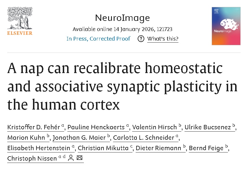坚持午睡vs从不午睡的人，差别在哪里？研究发现“大脑年龄差”悄悄拉开