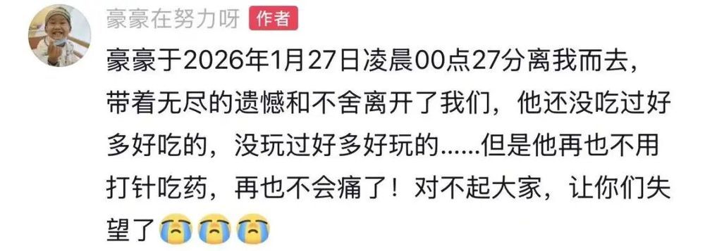 抗癌“小王子”豪豪离世，年仅10岁