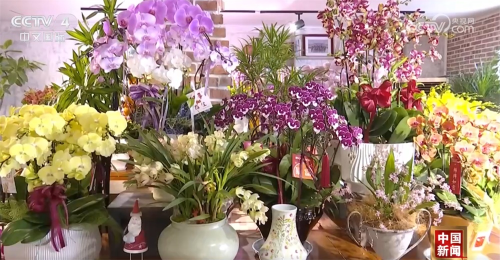 多元业态绘就新图景解锁新花样 节前各地消费市场活力足、人气旺