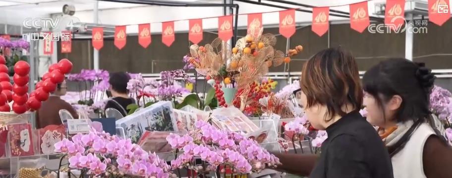 从年宵花到生肖文创：多地年货市场供销两旺 传统与创意产品点亮春节消费