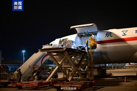 旅日大熊猫一到家就吃上笋了