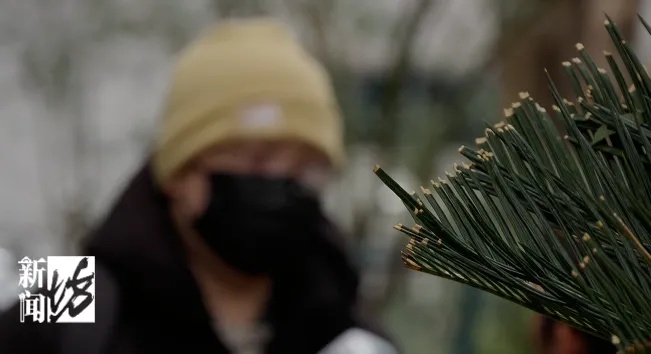 五旬智力残疾女子在上海知名游戏厅充值18万元！家属急了：这是她妈妈的遗产！