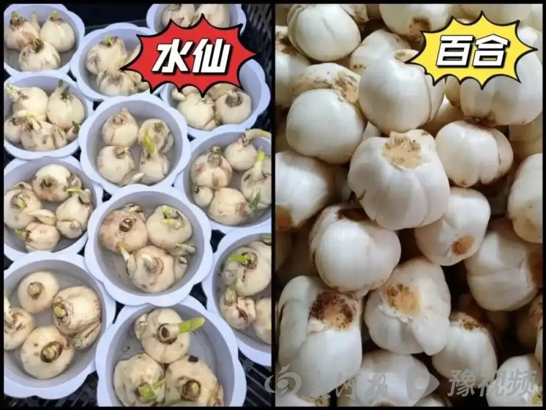 离谱！盒马下单后配送出错，两人中毒送医