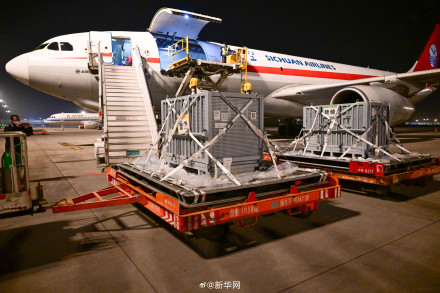 旅日大熊猫晓晓蕾蕾回到家乡