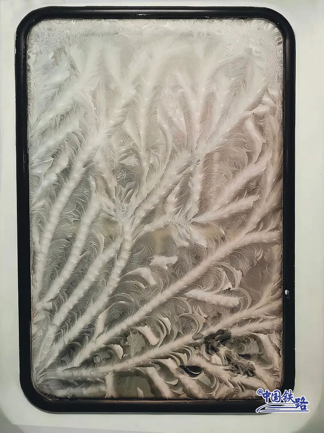 在车窗上留言?网友:火车“漂流瓶”还有冬季限定! 在车窗上留言?网友:火车“漂流瓶”还有冬季限定!