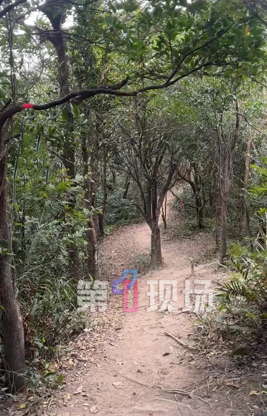 男子爬山摔倒致骨折,救援人员耗时一小时轮班抬运,徒步不能“说走就走” 男子爬山摔倒致骨折,救援人员耗时一小时轮班抬运,徒步不能“说走就走”