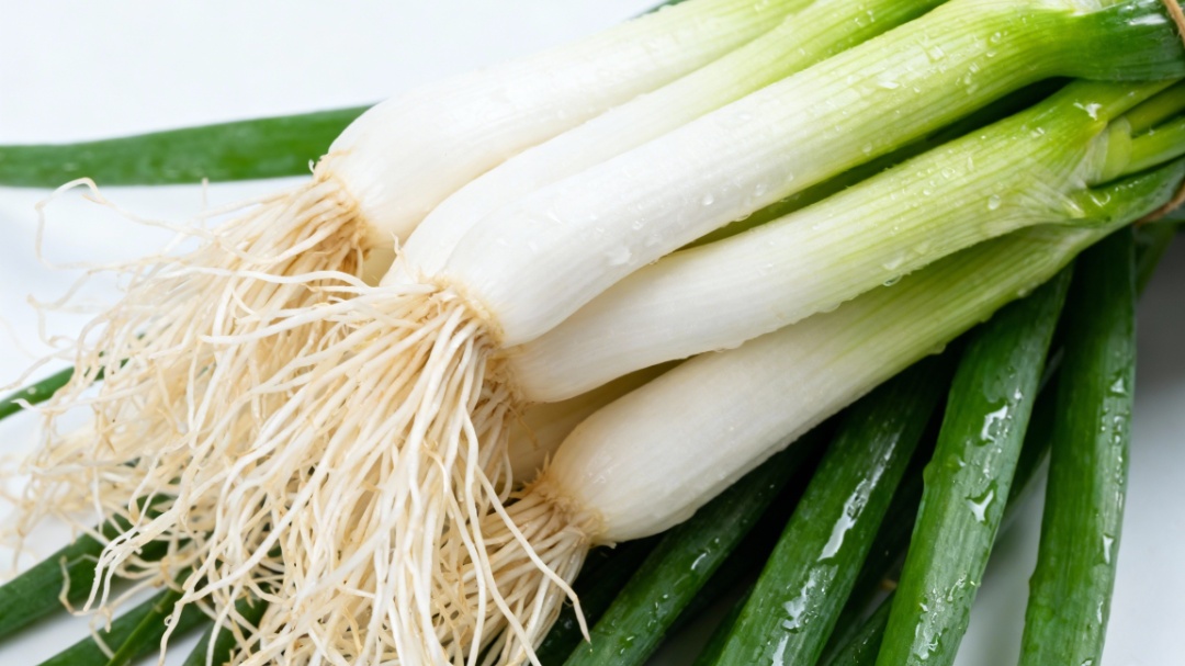 一根葱,抵三味药?别再只当它是调料了,从葱叶到葱须,个个都是宝! 一根葱,抵三味药?别再只当它是调料了,从葱叶到葱须,个个都是宝!