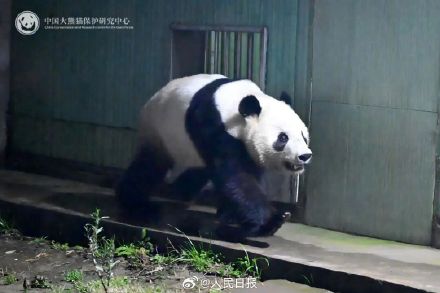 欢迎回家！晓晓蕾蕾最新画面