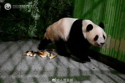 欢迎回家！晓晓蕾蕾最新画面