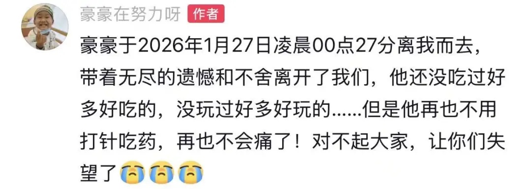 痛惜！抗癌“小王子”豪豪离世，年仅10岁